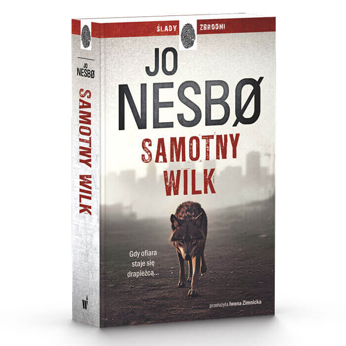 Samotny wilk
